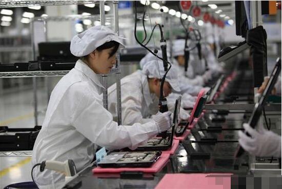 電子廠苦中作樂秘籍 上班養貓，快樂似神仙？