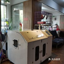 大連寵物電子寵物新體驗 聯系方式、價格與營業時間全指南